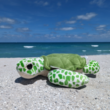 Load image into Gallery viewer, Sea Turtle Adoption