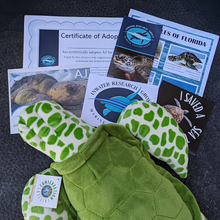 Load image into Gallery viewer, Sea Turtle Adoption