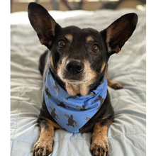 Load image into Gallery viewer, Hatchling Sea Turtle Dog Bandana
